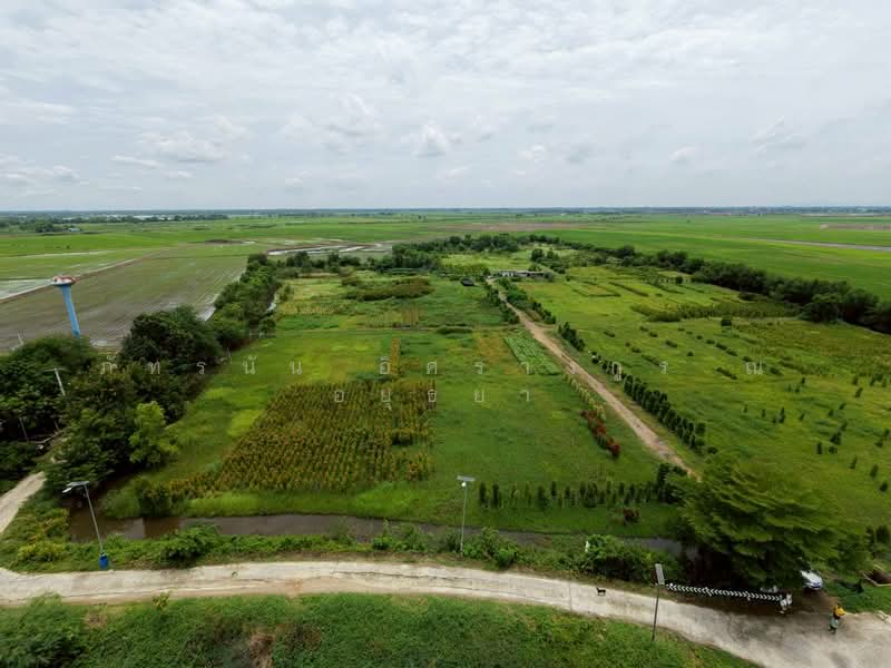 ตำบลโพธิ์แทน อำเภอองครักษ์ จังหวัดนครนายก, Nakhon Nayok, Ongkharak, Nakhon Nayok, , 23,172 sqm, Land For Sale, by ภัทรนัน อิศรางกูร ณ อยุธยา, 500439575 - DDproperty.com