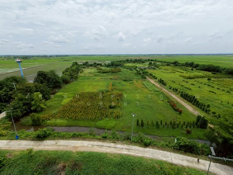 ตำบลโพธิ์แทน อำเภอองครักษ์ จังหวัดนครนายก, Nakhon Nayok, Ongkharak, Nakhon Nayok, , 23,172 sqm, Land For Sale, by ภัทรนัน อิศรางกูร ณ อยุธยา, 500439575 - DDproperty.com