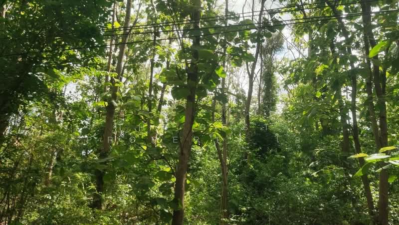 ที่ดินตาคลี นครสวรรค์, Nakhon Sawan, Takhli, Takhli, Nakhon Sawan, , 800 sqm, Land For Sale, by The Best Property โอ๋, 500439588 - DDproperty.com
