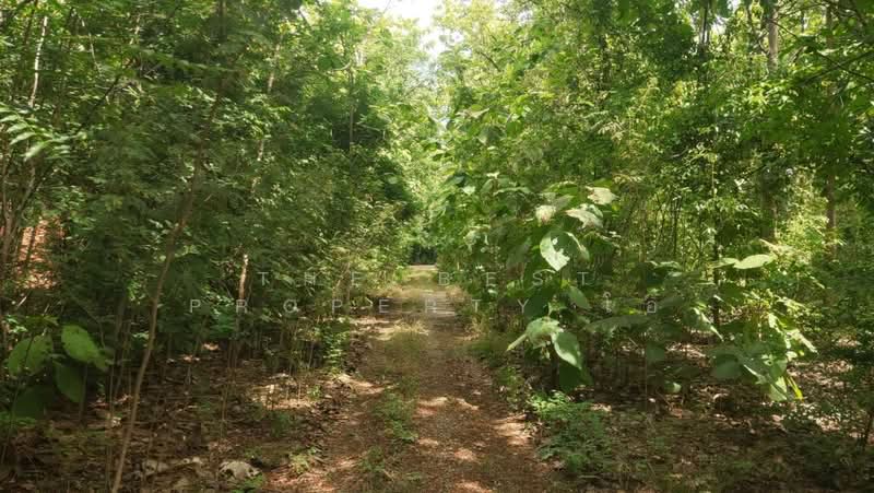 ที่ดินตาคลี นครสวรรค์, Nakhon Sawan, Takhli, Takhli, Nakhon Sawan, , 800 sqm, Land For Sale, by The Best Property โอ๋, 500439588 - DDproperty.com