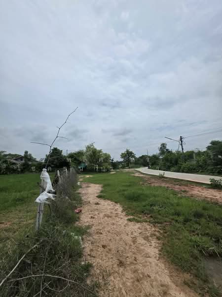 ขายที่ดินถมแล้ว ทำเลดี อำเภอประทาย พร้อมสร้างบ้านสวนในฝัน, Nakhon Ratchasima, Pra Thai, Pra Thai, Nakhon Ratchasima, , 7,184 sqm, Land For Sale, by พลิศภัสร์ โชคธนวีระกานต์, 500439595 - DDproperty.com
