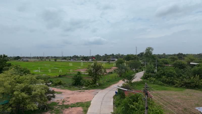 ขายที่ดินถมแล้ว ทำเลดี อำเภอประทาย พร้อมสร้างบ้านสวนในฝัน, Nakhon Ratchasima, Pra Thai, Pra Thai, Nakhon Ratchasima, , 7,184 sqm, Land For Sale, by พลิศภัสร์ โชคธนวีระกานต์, 500439595 - DDproperty.com