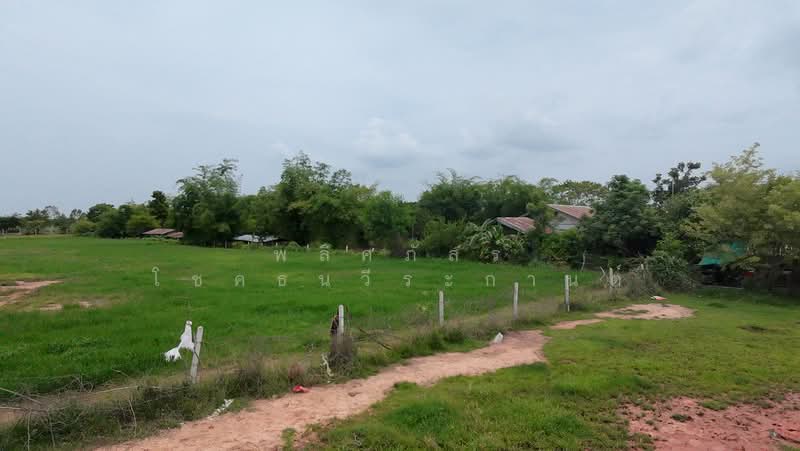 ขายที่ดินถมแล้ว ทำเลดี อำเภอประทาย พร้อมสร้างบ้านสวนในฝัน, Nakhon Ratchasima, Pra Thai, Pra Thai, Nakhon Ratchasima, , 7,184 sqm, Land For Sale, by พลิศภัสร์ โชคธนวีระกานต์, 500439595 - DDproperty.com