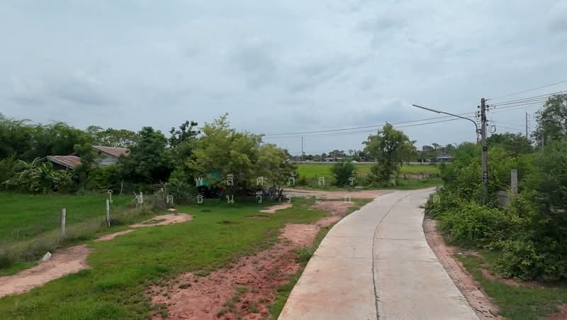 ขายที่ดินถมแล้ว ทำเลดี อำเภอประทาย พร้อมสร้างบ้านสวนในฝัน, Nakhon Ratchasima, Pra Thai, Pra Thai, Nakhon Ratchasima, , 7,184 sqm, Land For Sale, by พลิศภัสร์ โชคธนวีระกานต์, 500439595 - DDproperty.com