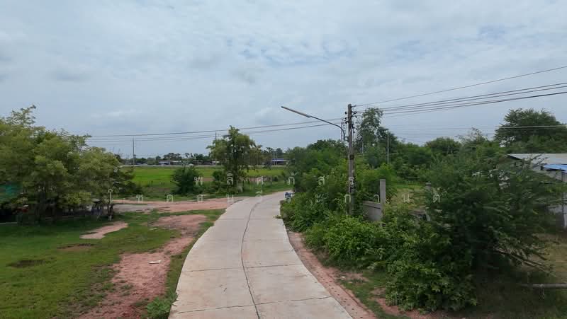 ขายที่ดินถมแล้ว ทำเลดี อำเภอประทาย พร้อมสร้างบ้านสวนในฝัน, นครราชสีมา, ประทาย, ประทาย, นครราชสีมา, 7,184 ตร.ม., ที่ดิน ขาย, โดย พลิศภัสร์ โชคธนวีระกานต์, 500439595 - DDproperty.com