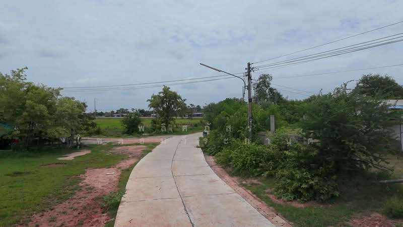 ขายที่ดินถมแล้ว ทำเลดี อำเภอประทาย พร้อมสร้างบ้านสวนในฝัน, Nakhon Ratchasima, Pra Thai, Pra Thai, Nakhon Ratchasima, , 7,184 sqm, Land For Sale, by พลิศภัสร์ โชคธนวีระกานต์, 500439595 - DDproperty.com