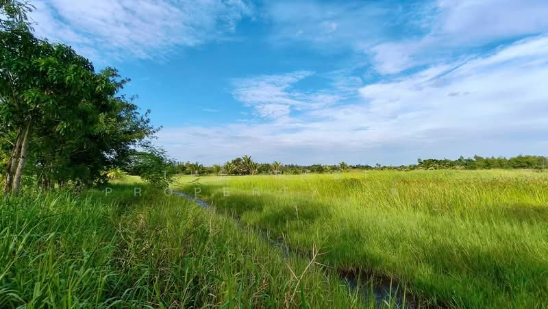 ที่ดินพร้อมสิ่งปลูกสร้างยางตลาด กาฬสินธุ์, Kalasin, Yang Talat, Yang Talat, Kalasin, , 20,444 sqm, Land For Sale, by The Best Property เต่า, 500439598 - DDproperty.com