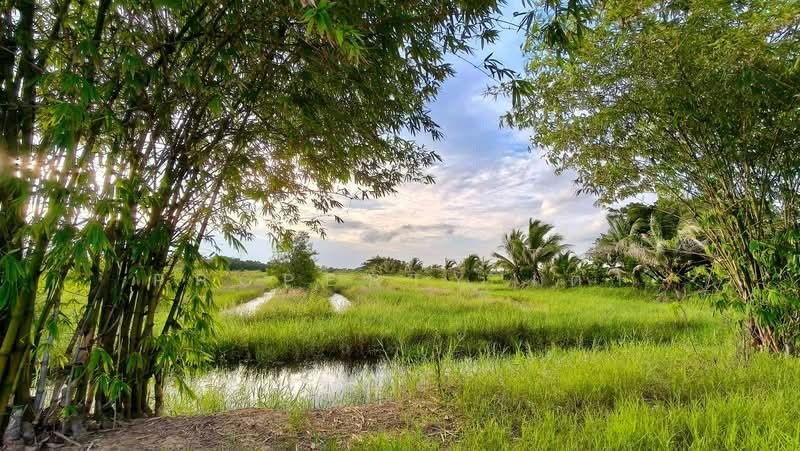 ที่ดินพร้อมสิ่งปลูกสร้างยางตลาด กาฬสินธุ์, กาฬสินธุ์, ยางตลาด, ยางตลาด, กาฬสินธุ์, 20,444 ตร.ม., ที่ดิน ขาย, โดย The Best Property เต่า, 500439598 - DDproperty.com