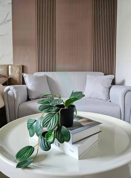 Elio Del Ray, Bangkok, 95 Sukhumvit 64 Road, Bang Chak, Phra Khanong, Bangkok, Studio, 24 sqm, Condo For Rent, by Living Condo, 500439609 - DDproperty.com