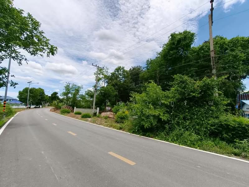 ตำบลสามง่าม อำเภอโพธิ์ทอง จังหวัดอ่างทอง, Ang Thong, Sam Ngam, Pho Thong, Ang Thong, , 2,264 sqm, Land For Sale, by ภัทรนัน อิศรางกูร ณ อยุธยา, 500439614 - DDproperty.com