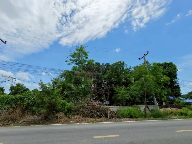 ตำบลสามง่าม อำเภอโพธิ์ทอง จังหวัดอ่างทอง, Ang Thong, Sam Ngam, Pho Thong, Ang Thong, , 2,264 sqm, Land For Sale, by ภัทรนัน อิศรางกูร ณ อยุธยา, 500439614 - DDproperty.com