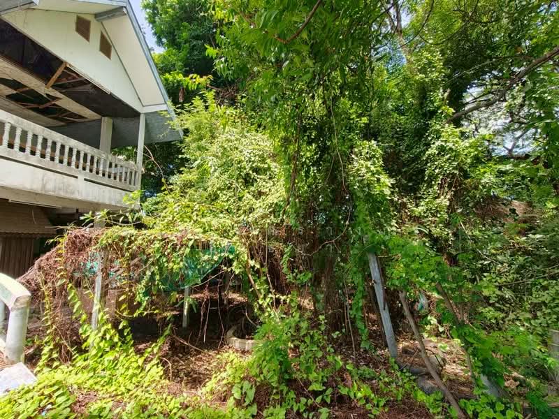 ตำบลสามง่าม อำเภอโพธิ์ทอง จังหวัดอ่างทอง, Ang Thong, Sam Ngam, Pho Thong, Ang Thong, , 2,264 sqm, Land For Sale, by ภัทรนัน อิศรางกูร ณ อยุธยา, 500439614 - DDproperty.com