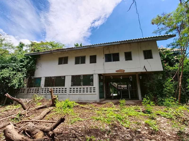 ตำบลสามง่าม อำเภอโพธิ์ทอง จังหวัดอ่างทอง, Ang Thong, Sam Ngam, Pho Thong, Ang Thong, , 2,264 sqm, Land For Sale, by ภัทรนัน อิศรางกูร ณ อยุธยา, 500439614 - DDproperty.com