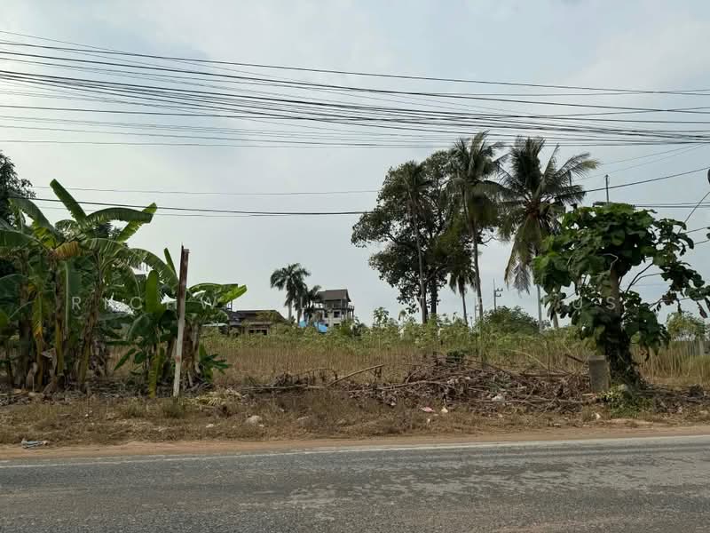 ขายที่ดินหนองหรือ พัทยา 6 ไร่ ซอยทุ่งกลม-ตาลหมัน29 ใกล้อ่างเก็บน้ำชากนอก-2กม. อ.บางละมุง, ชลบุรี, หนองปรือ, บางละมุง, ชลบุรี, 9,946 ตร.ม., ที่ดิน ขาย, โดย RICHWELL INTERPLUS, 500439623 - DDproperty.com