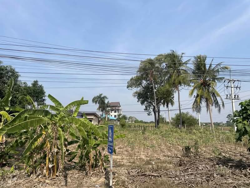 Land for sale in Nong Rue, Pattaya, 6 rai, Soi Thung Klom-Tal Man 29, Chon Buri (Pattaya), Nong Pru, Bang Lamung (Pattaya), Chon Buri (Pattaya), , 9,946 sqm, Land For Sale, by RICHWELL INTERPLUS, 500439623 - DDproperty.com