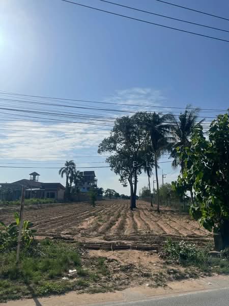 Land for sale in Nong Rue, Pattaya, 6 rai, Soi Thung Klom-Tal Man 29, Chon Buri (Pattaya), Nong Pru, Bang Lamung (Pattaya), Chon Buri (Pattaya), , 9,946 sqm, Land For Sale, by RICHWELL INTERPLUS, 500439623 - DDproperty.com