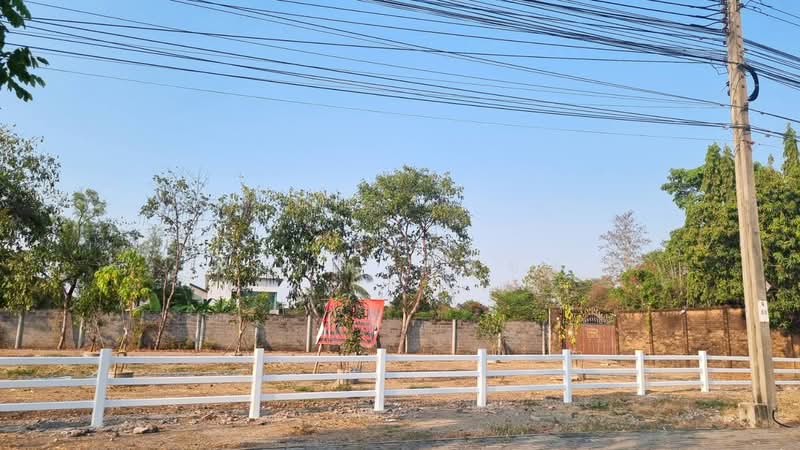 นวลจันทร์, กรุงเทพ, นวลจันทร์, บึงกุ่ม, กรุงเทพ, 2,568 ตร.ม., ที่ดิน ขาย, โดย สมภพ กุลชล, 500439639 - DDproperty.com