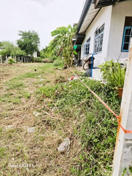 ประทาย, Nakhon Ratchasima, Pra Thai, Nakhon Ratchasima, , 436 sqm, Land For Sale, by วรรณี บูรณสมภพ, 500439678 - DDproperty.com