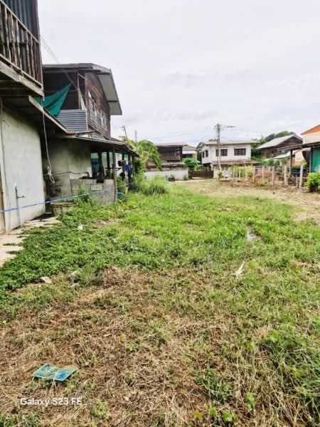 ประทาย, Nakhon Ratchasima, Pra Thai, Nakhon Ratchasima, , 436 sqm, Land For Sale, by วรรณี บูรณสมภพ, 500439678 - DDproperty.com