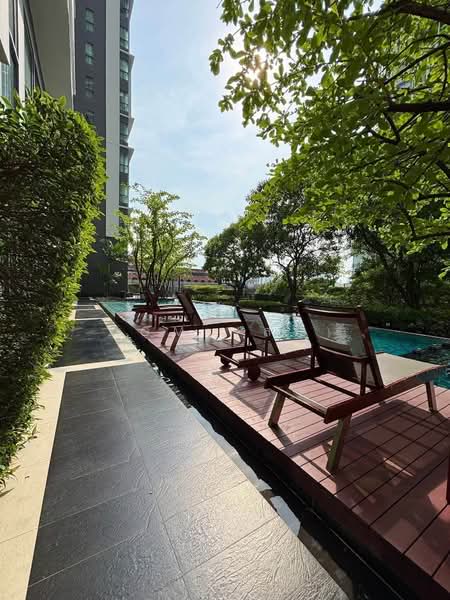 IDEO MOBI Sukhumvit 81 : ไอดีโอ โมบิ สุขุมวิท 81, กรุงเทพ, 2097 ถนนสุขุมวิท แขวงบางจาก เขตพระโขนง กรุงเทพมหานคร, บางจาก, พระโขนง, กรุงเทพ, 43 ตร.ม., คอนโด ให้เช่า, โดย Zom (ส้ม), 500439712 - DDproperty.com