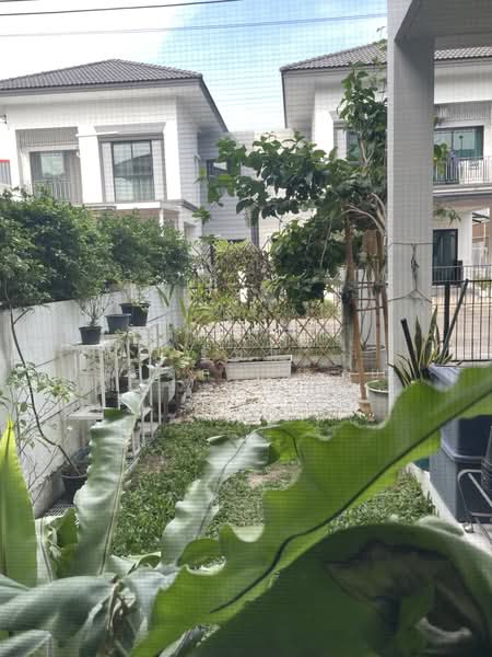 Lumpini Townplace Sukhumvit-Srinakarin : ลุมพินี ทาวน์เพลส สุขุมวิท-ศรีนครินทร์, สมุทรปราการ, สำโรงเหนือ, เมืองสมุทรปราการ, สมุทรปราการ, 158 ตร.ม., บ้านแฝด ขาย, โดย Rachanee Saengkrajai, 500439718 - DDproperty.com