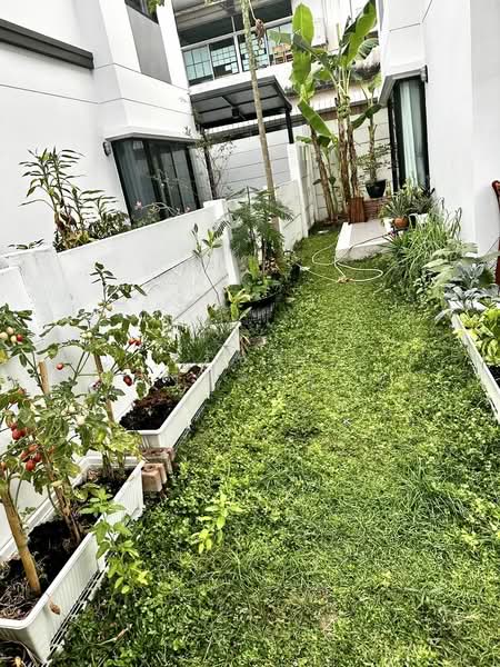 Lumpini Townplace Sukhumvit-Srinakarin, Samut Prakan, Samrong Nua, Muang Samut Prakarn, Samut Prakan, 3 Bedrooms, 158 sqm, Semi-Detached House (Twin House) For Sale, by Rachanee Saengkrajai, 500439718 - DDproperty.com