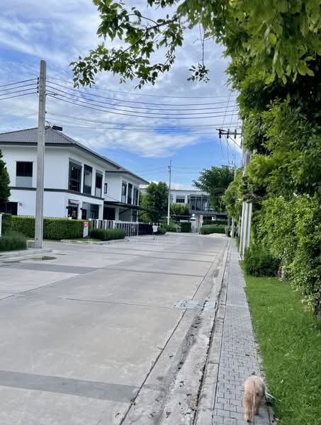 Lumpini Townplace Sukhumvit-Srinakarin, Samut Prakan, Samrong Nua, Muang Samut Prakarn, Samut Prakan, 3 Bedrooms, 158 sqm, Semi-Detached House (Twin House) For Sale, by Rachanee Saengkrajai, 500439718 - DDproperty.com