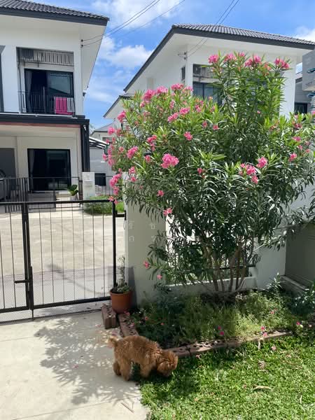 Lumpini Townplace Sukhumvit-Srinakarin, Samut Prakan, Samrong Nua, Muang Samut Prakarn, Samut Prakan, 3 Bedrooms, 158 sqm, Semi-Detached House (Twin House) For Sale, by Rachanee Saengkrajai, 500439718 - DDproperty.com