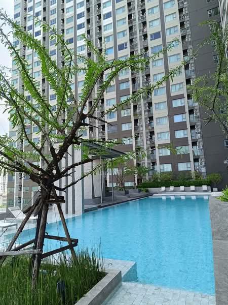 Aspire Sathorn-Ratchaphruek : แอสปาย สาทร-ราชพฤกษ์, กรุงเทพ, ถนน ราชพฤกษ์, ปากคลองภาษีเจริญ, ภาษีเจริญ, กรุงเทพ, 47 ตร.ม., คอนโด ให้เช่า, โดย อุไลวรรณ บุญศิริ, 500439740 - DDproperty.com