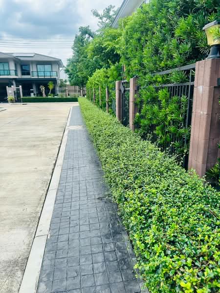 Passorn Bhuddhamonthon Sai 2-Bangwaek, Bangkok, Bangwaek Road, Bang Phai, Bang Khae, Bangkok, 4 Bedrooms, 480 sqm, Single Detached House For Sale, by พัฒน์นรี (อี๊ด) พิเศษเสรี, 500439750 - DDproperty.com