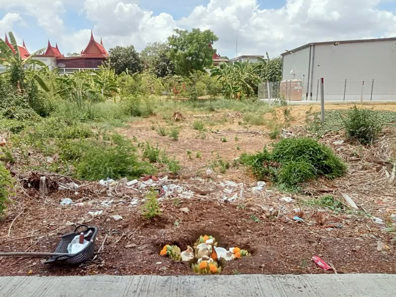 ธนู, Phra Nakhon Si Ayutthaya, Tha-nu, Uthai, Phra Nakhon Si Ayutthaya, , 200 sqm, Land For Sale, by ธนกร โสภณางกูร, 500439753 - DDproperty.com