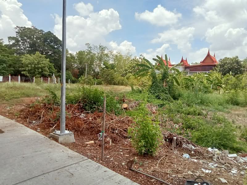 ธนู, พระนครศรีอยุธยา, ธนู, อุทัย, พระนครศรีอยุธยา, 200 ตร.ม., ที่ดิน ขาย, โดย ธนกร โสภณางกูร, 500439753 - DDproperty.com