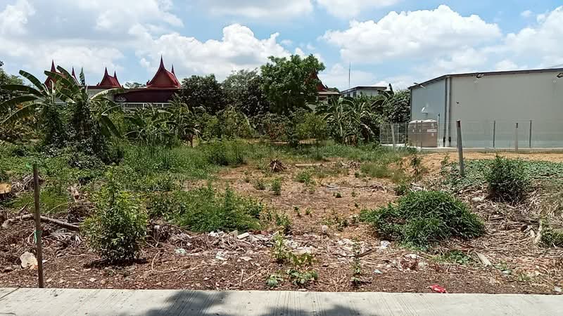 ธนู, Phra Nakhon Si Ayutthaya, Tha-nu, Uthai, Phra Nakhon Si Ayutthaya, , 200 sqm, Land For Sale, by ธนกร โสภณางกูร, 500439753 - DDproperty.com