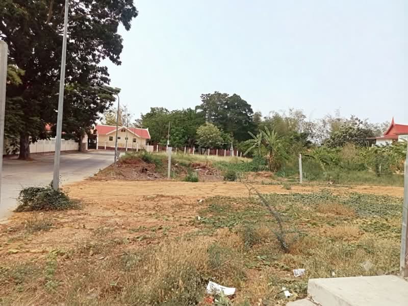 ธนู, Phra Nakhon Si Ayutthaya, Tha-nu, Uthai, Phra Nakhon Si Ayutthaya, , 200 sqm, Land For Sale, by ธนกร โสภณางกูร, 500439753 - DDproperty.com