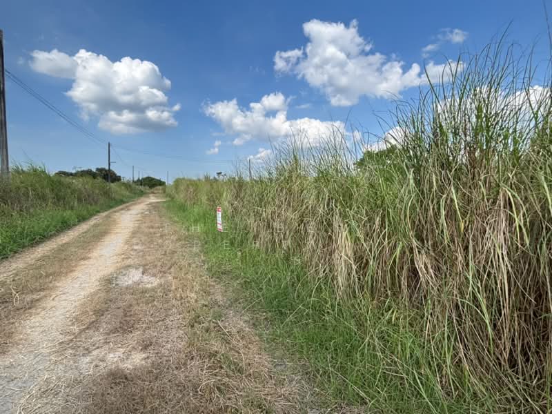 ที่ดินพนัสนิคม ชลบุรี, Chon Buri (Pattaya), Nong Khayat, Phanat Nikhom, Chon Buri (Pattaya), , 240 sqm, Land For Sale, by The Best Property ตอง, 500439764 - DDproperty.com