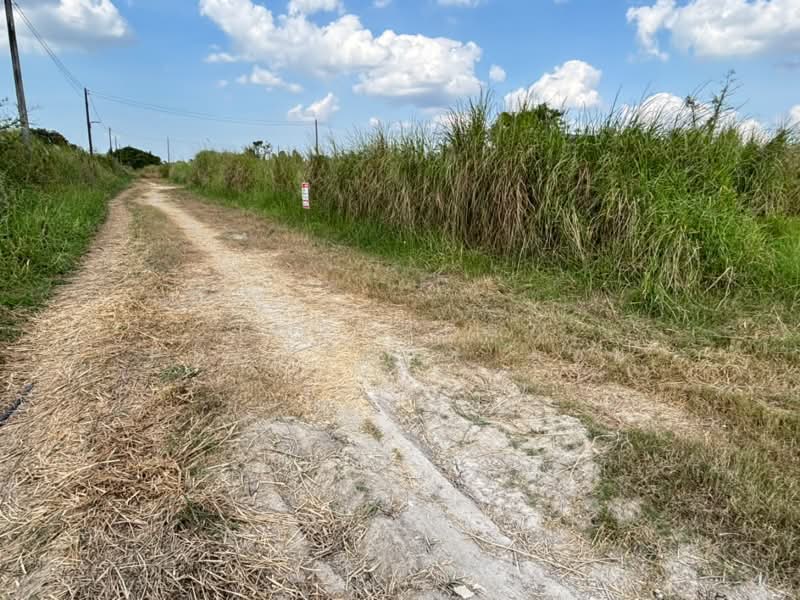 ที่ดินพนัสนิคม ชลบุรี, Chon Buri (Pattaya), Nong Khayat, Phanat Nikhom, Chon Buri (Pattaya), , 240 sqm, Land For Sale, by The Best Property ตอง, 500439764 - DDproperty.com