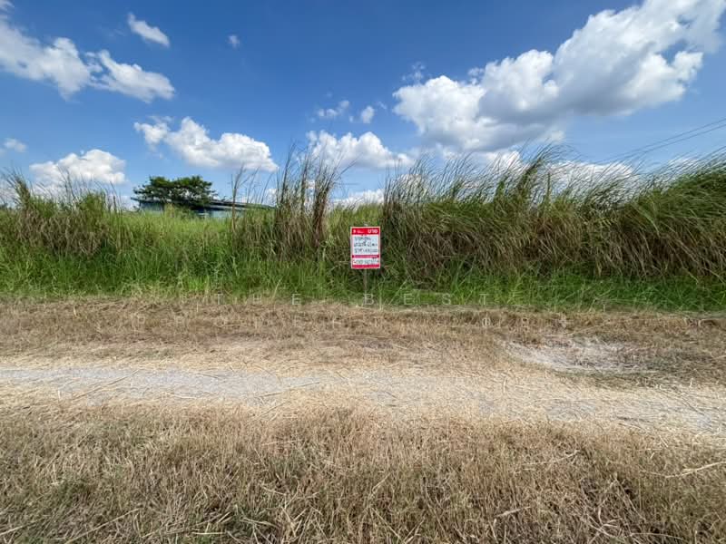 ที่ดินพนัสนิคม ชลบุรี, Chon Buri (Pattaya), Nong Khayat, Phanat Nikhom, Chon Buri (Pattaya), , 240 sqm, Land For Sale, by The Best Property ตอง, 500439764 - DDproperty.com