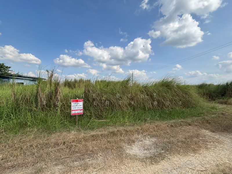 ที่ดินพนัสนิคม ชลบุรี, Chon Buri (Pattaya), Nong Khayat, Phanat Nikhom, Chon Buri (Pattaya), , 240 sqm, Land For Sale, by The Best Property ตอง, 500439764 - DDproperty.com