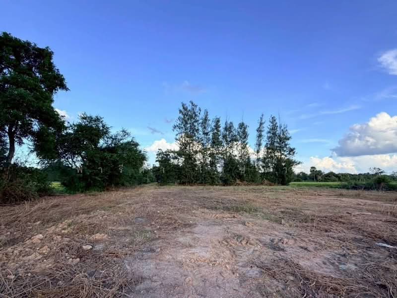 Land for sale in Nakhon Ratchasima city, 8-0-14 rai, near the bypass road, Nakhon Ratchasima, เลี่ยงเมืองนครราชสีมา, Ta Lat, Muang Nakhon Ratchasima, Nakhon Ratchasima, , 28,856 sqm, Land For Sale, by Fareeda Thaipatan, 500439939 - DDproperty.com