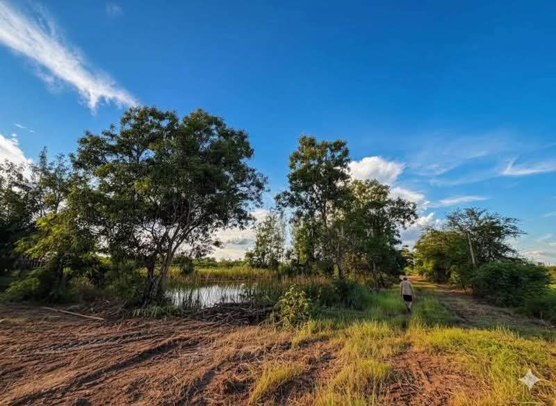 Land for sale in Nakhon Ratchasima city, 8-0-14 rai, near the bypass road, Nakhon Ratchasima, เลี่ยงเมืองนครราชสีมา, Ta Lat, Muang Nakhon Ratchasima, Nakhon Ratchasima, , 28,856 sqm, Land For Sale, by Fareeda Thaipatan, 500439939 - DDproperty.com