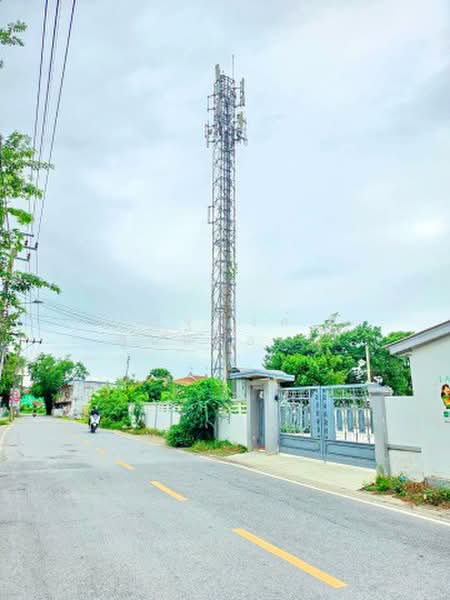 ไม่พบโครงการ, Bangkok, วิภาวดีรังสิต, Si Khan, Don Mueang, Bangkok, 4 Bedrooms, 1,280 sqm, Single Detached House For Rent, by ณัฐพงศ์ สุนทรอรุณ, 500439959 - DDproperty.com