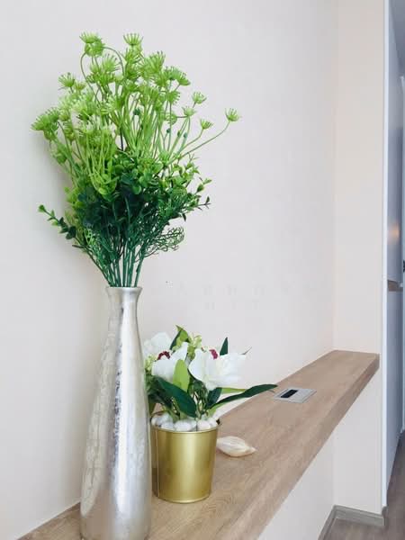 Rhythm Ekkamai, Bangkok, 11 Soi Sukhumvit 63, Khlongtoei Nua, Watthana, Bangkok, 2 Bedrooms, 70 sqm, Condo For Rent, by Juthabhorn Uppachit (Amy), 500439984 - DDproperty.com