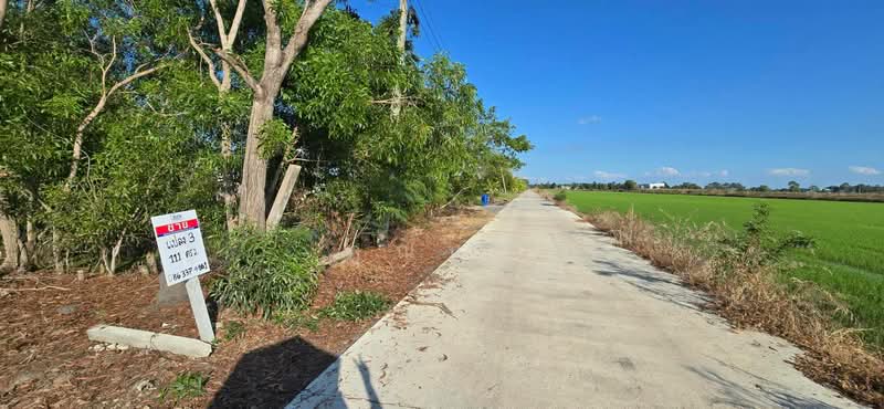 land for sell, Pathum Thani, Bung Khohai, Lam Luk Ka, Pathum Thani, , 1,252 sqm, Land For Sale, by คุณนก, 500440021 - DDproperty.com