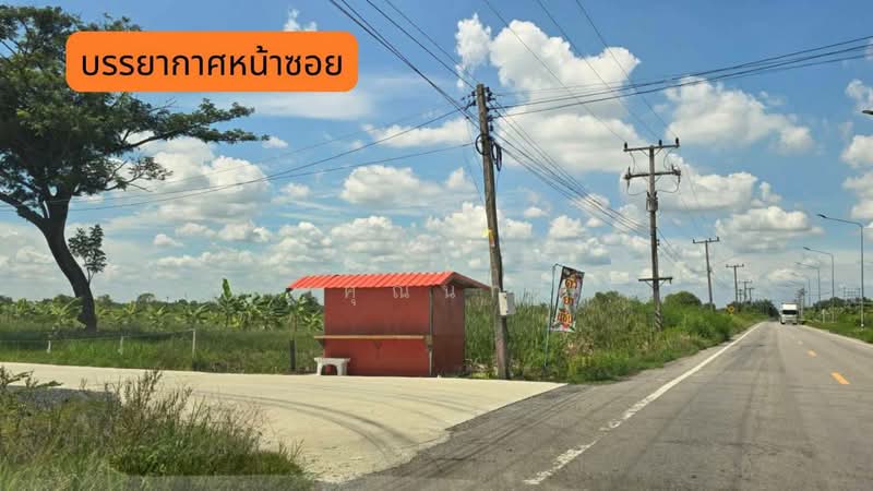 land for sell, Pathum Thani, Bung Khohai, Lam Luk Ka, Pathum Thani, , 1,252 sqm, Land For Sale, by คุณนก, 500440021 - DDproperty.com