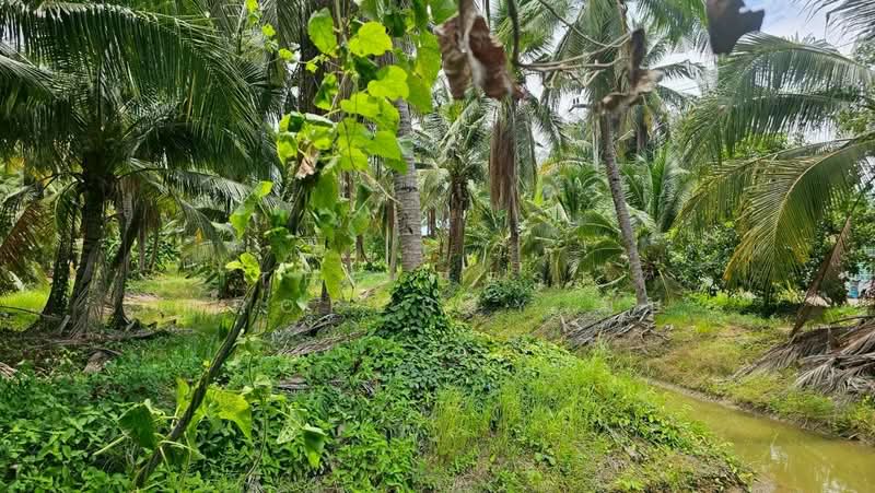 ที่ดินบางป่า ราชบุรี, Ratchaburi, Bang Pa, Muang Ratchaburi, Ratchaburi, , 1,137 sqm, Land For Sale, by The Best Property นุ๊บ, 500440037 - DDproperty.com