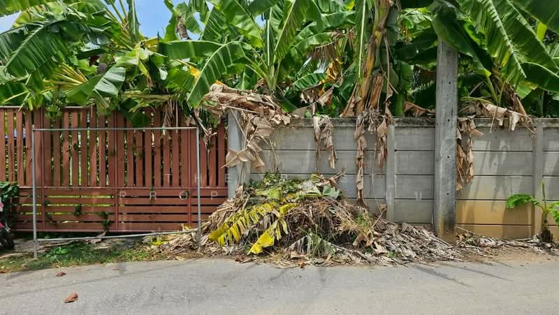ที่ดินบางป่า ราชบุรี, Ratchaburi, Bang Pa, Muang Ratchaburi, Ratchaburi, , 1,137 sqm, Land For Sale, by The Best Property นุ๊บ, 500440037 - DDproperty.com