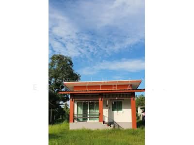 ขาย - บางพระ, ชลบุรี