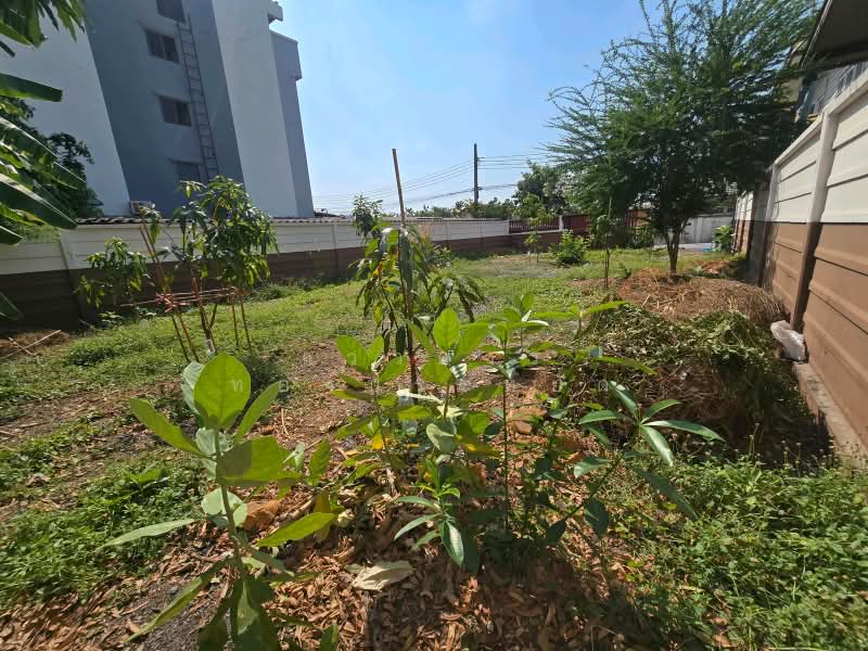 Chaengwattana, Pakkret, Ngamwongwan, Muang Thong, Liap Khlong, Prapa, Karai, Nonthaburi, Pak Kret, Nonthaburi, , 199 sqm, Land For Sale, by แววดาว ทองประหยัด, 500440080 - DDproperty.com