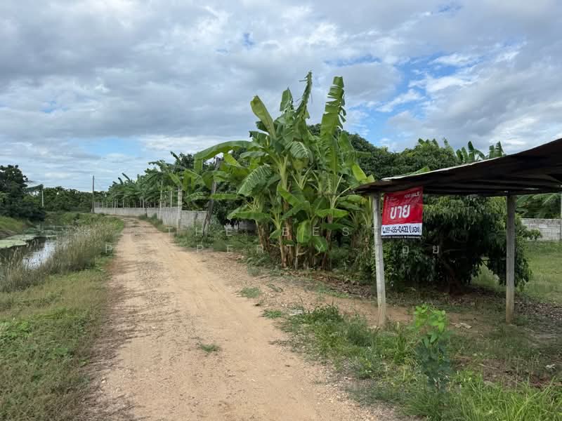 ที่ดินป่าซาง ลำพูน, ลำพูน, น้ำดิบ, ป่าซาง, ลำพูน, 5,664 ตร.ม., ที่ดิน ขาย, โดย The Best Property บอย, 500440081 - DDproperty.com