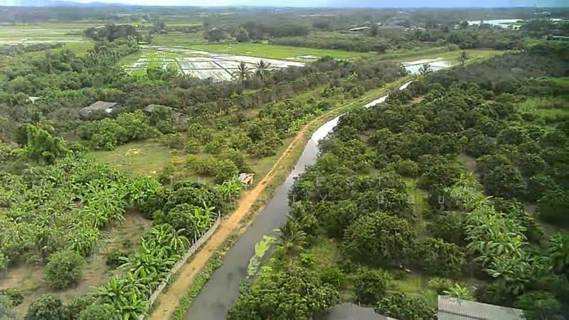 ที่ดินป่าซาง ลำพูน, ลำพูน, น้ำดิบ, ป่าซาง, ลำพูน, 5,664 ตร.ม., ที่ดิน ขาย, โดย The Best Property บอย, 500440081 - DDproperty.com